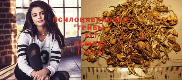 ешки Алзамай