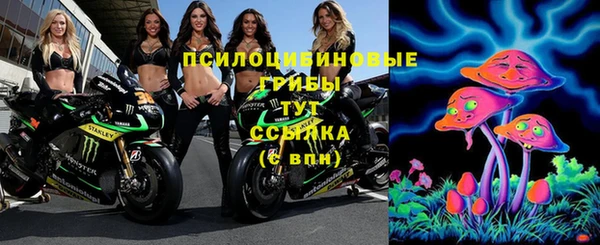 ешки Алзамай
