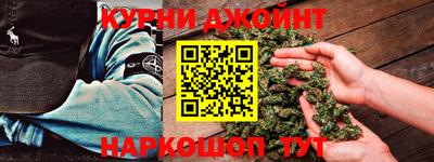 тгк Кингисепп