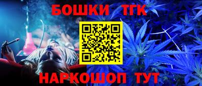 тгк Кингисепп