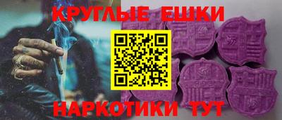 тгк Кингисепп