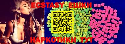тгк Кингисепп