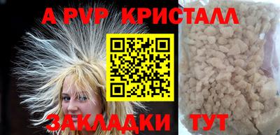 тгк Кингисепп