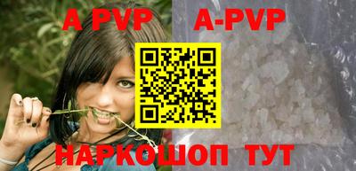 тгк Кингисепп