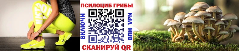 Галлюциногенные грибы Magic Shrooms  купить наркотик  Петрозаводск 