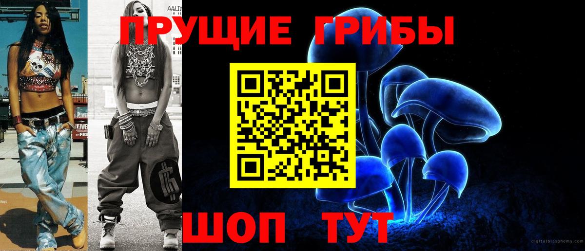Петрозаводск  Галлюциногенные грибы Psilocybe  Вход с VPN 